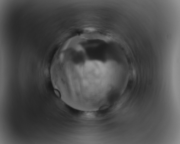 X0000089730573200707121451