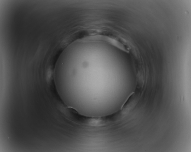 X0000089730574200707121451