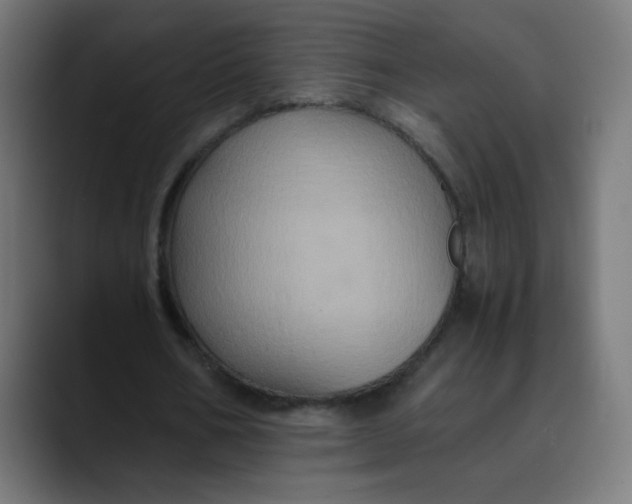 X0000089730578200707121451