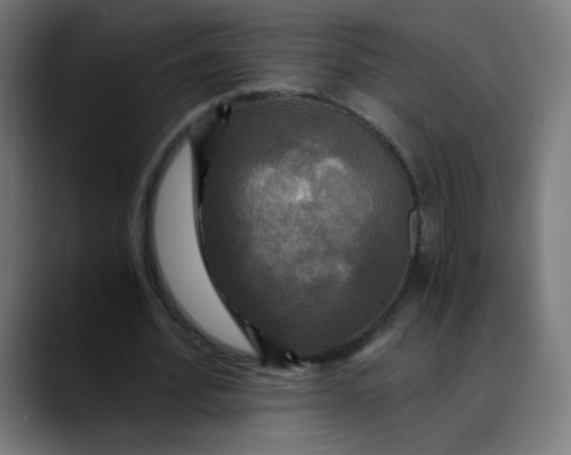 X0000089730580200707121451
