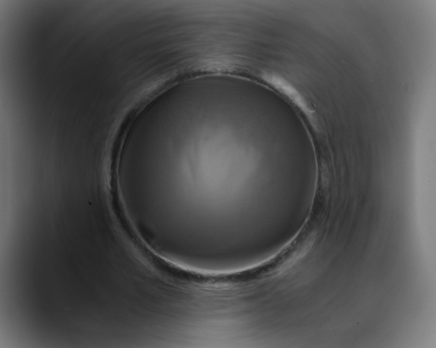X0000089730581200707121451