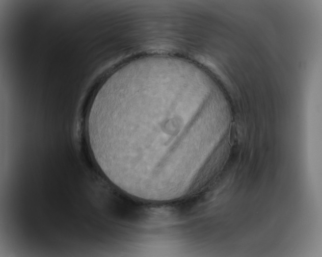 X0000089730583200707121450