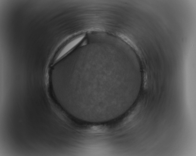 X0000089730584200707121450