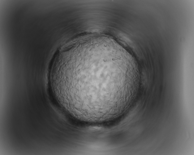 X0000089730586200707121450