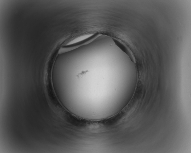 X0000089730587200707121450