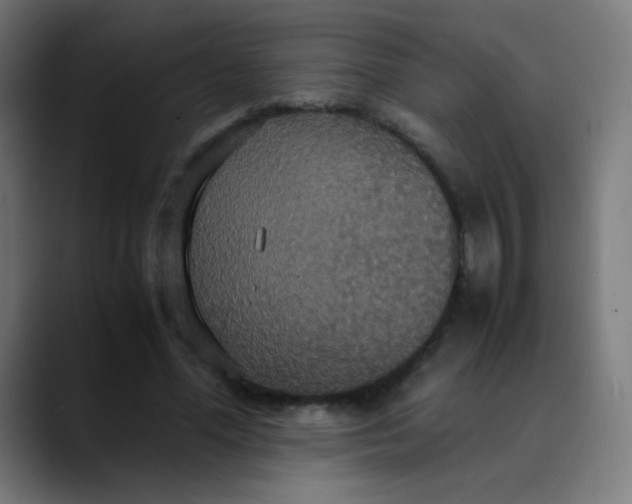 X0000089730588200707121450