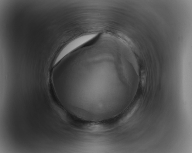 X0000089730589200707121450