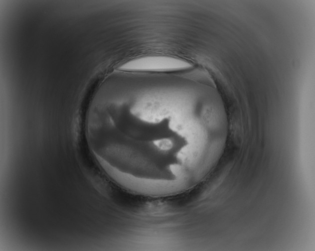 X0000089730591200707121450