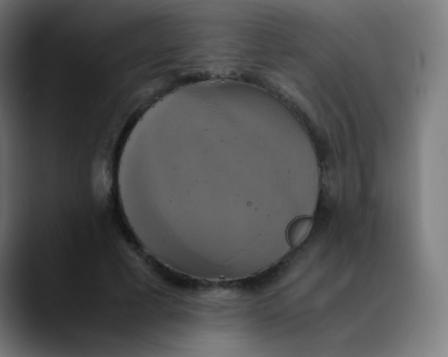 X0000089730593200707121450