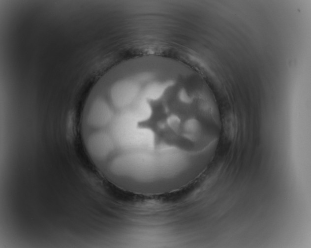 X0000089730594200707121450