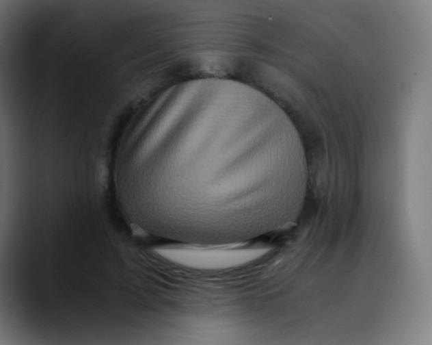 X0000089730595200707121450