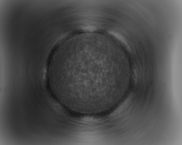 X0000089730596200707121450