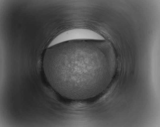 X0000089730597200707121450