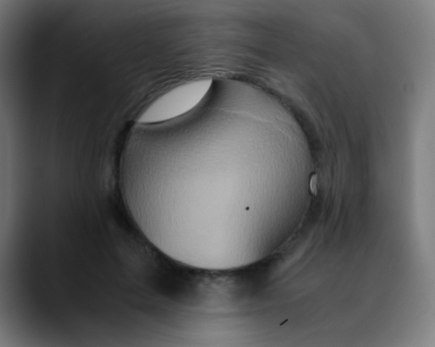 X0000089730599200707121450