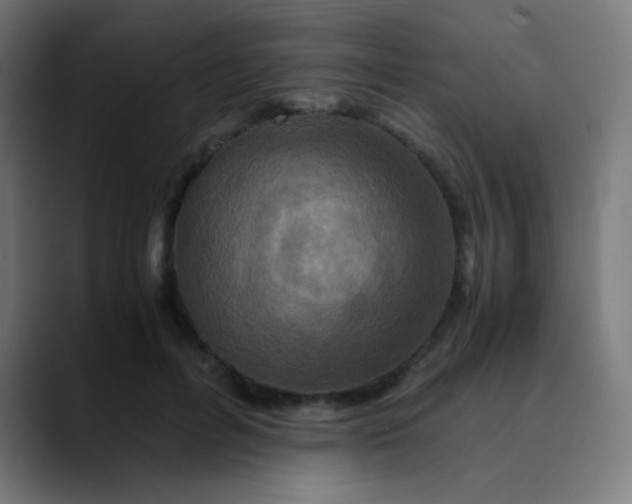 X0000089730600200707121450