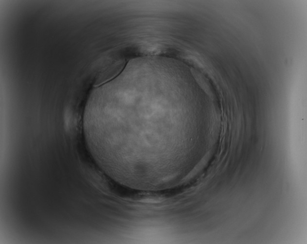 X0000089730601200707121450