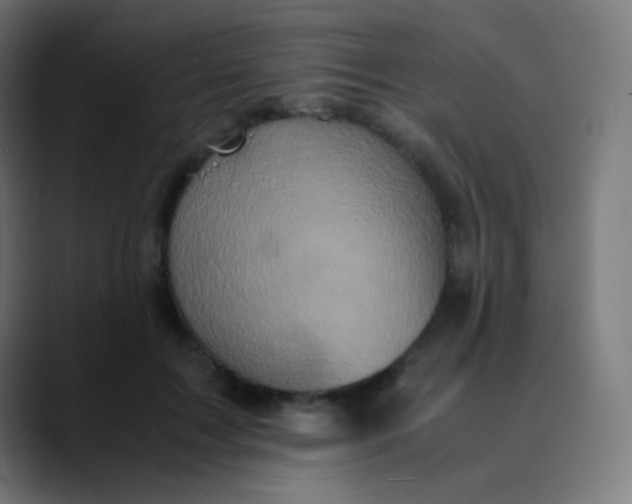 X0000089730603200707121450