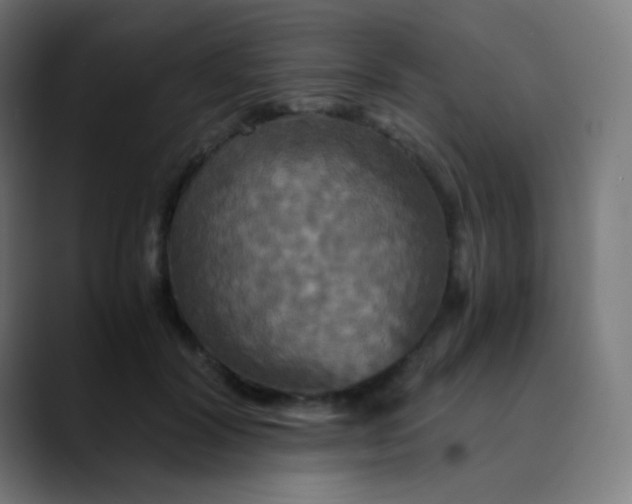 X0000089730604200707121450
