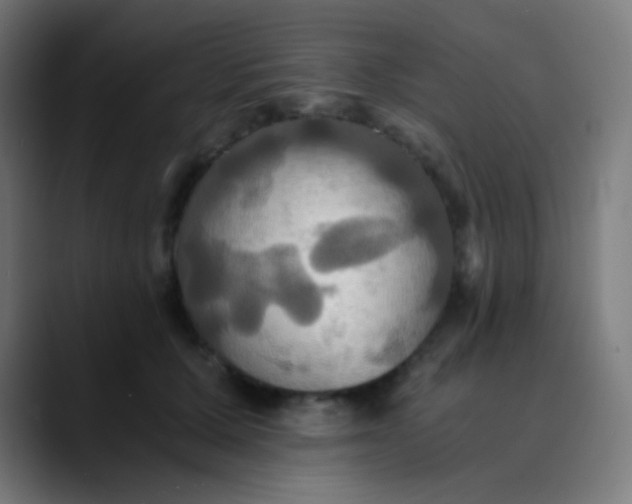 X0000089730607200707121450