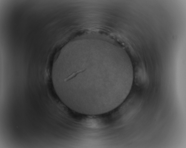 X0000089730608200707121450