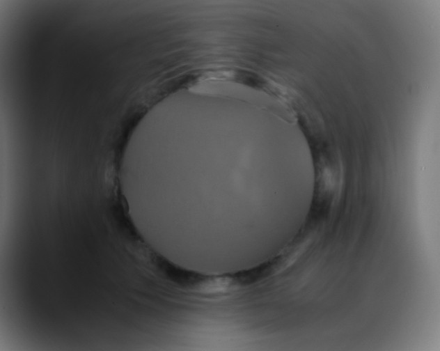 X0000089730609200707121450