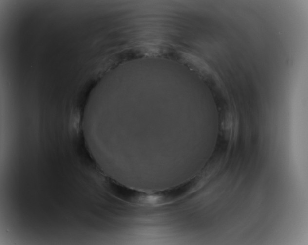 X0000089730610200707121450