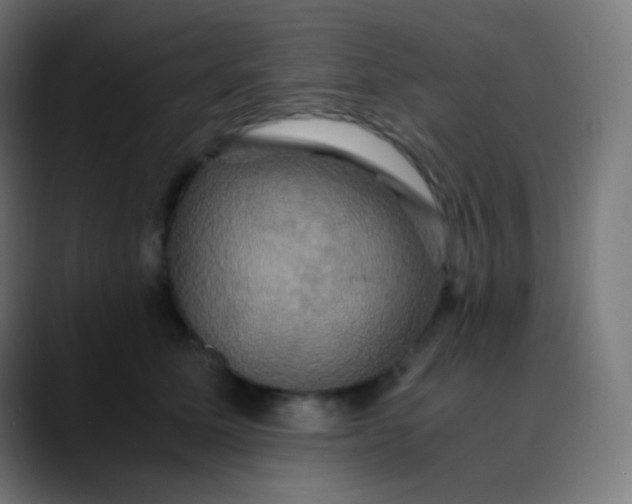 X0000089730611200707121450