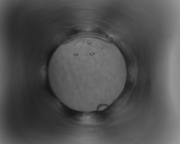 X0000089730612200707121450