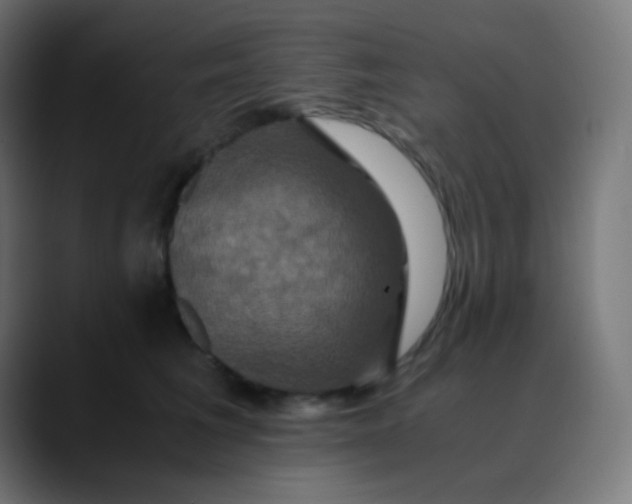 X0000089730613200707121450