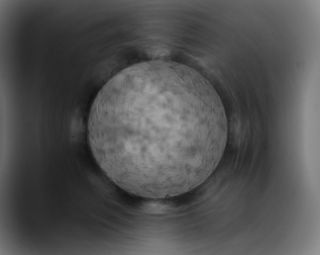 X0000089730614200707121450