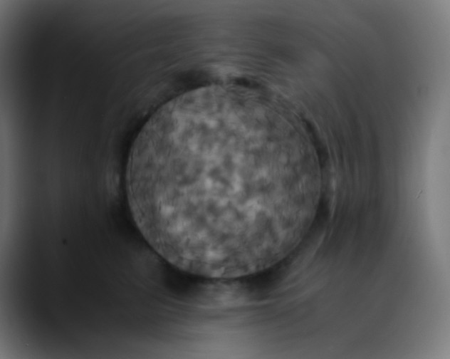 X0000089730615200707121450