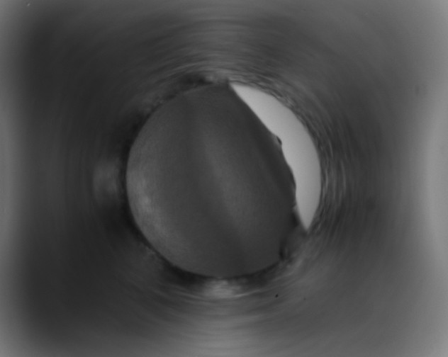 X0000089730616200707121450