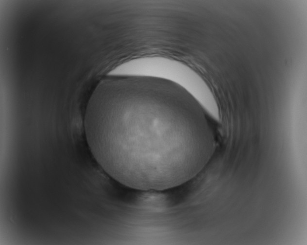 X0000089730617200707121450