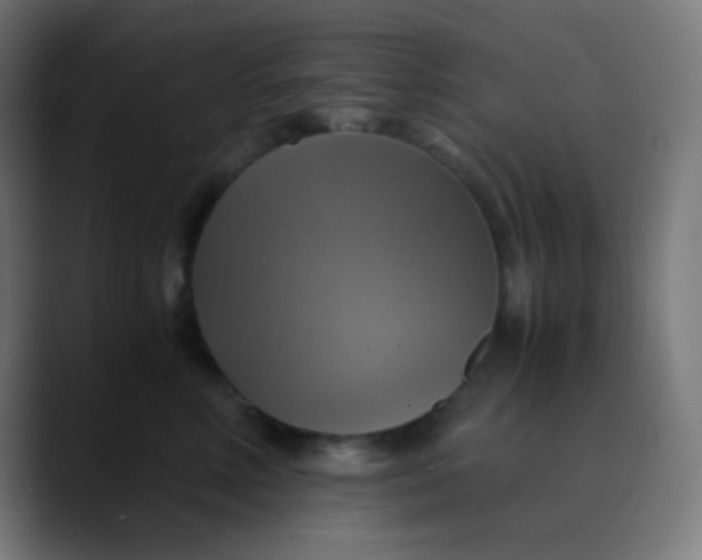X0000089730618200707121450