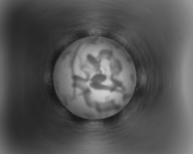 X0000089730619200707121450
