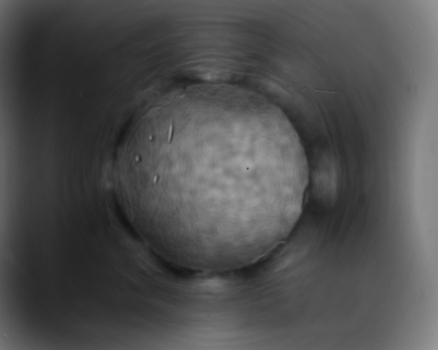 X0000089730620200707121450