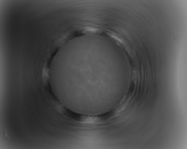 X0000089730621200707121450