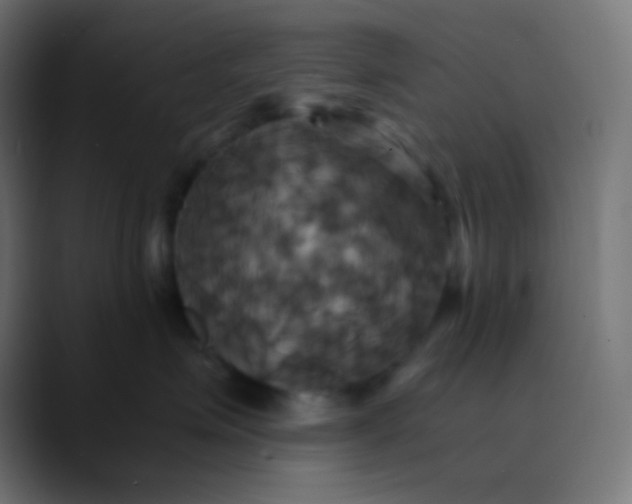 X0000089730623200707121450