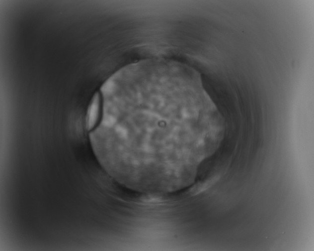 X0000089730624200707121450
