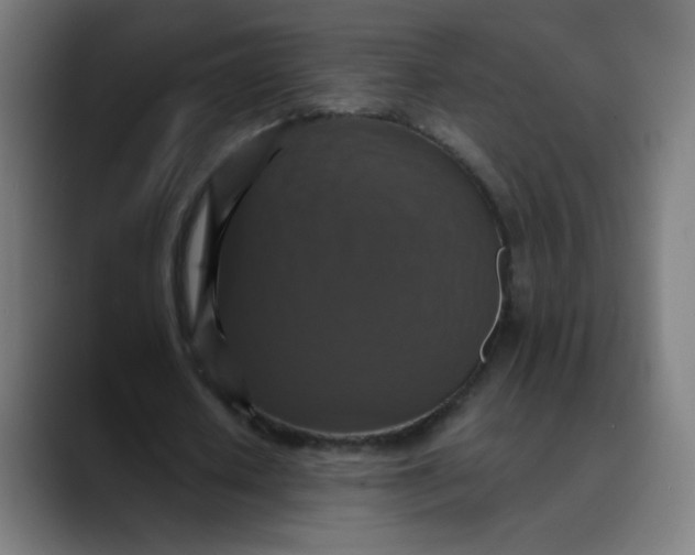 X0000089730626200707121449