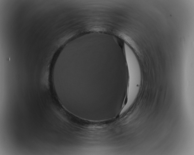 X0000089730627200707121449