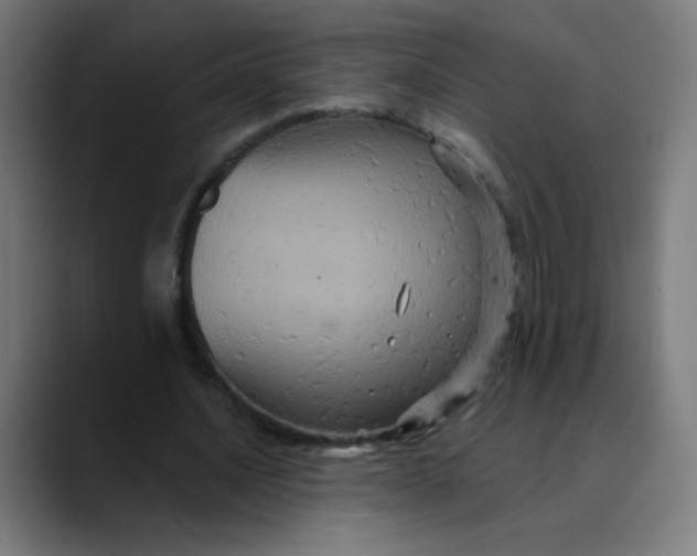 X0000089730628200707121449