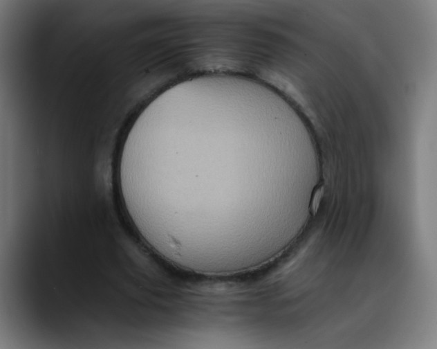 X0000089730629200707121450
