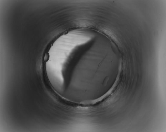 X0000089730630200707121450