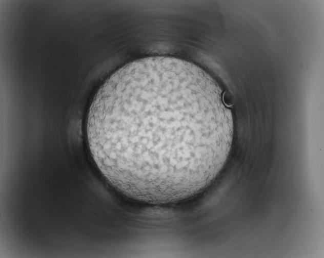 X0000089730633200707121450