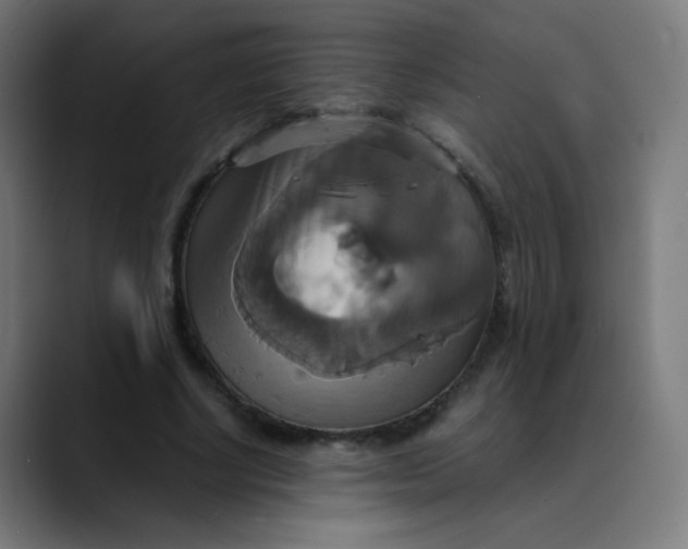 X0000089730634200707121450