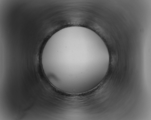 X0000089730636200707121450
