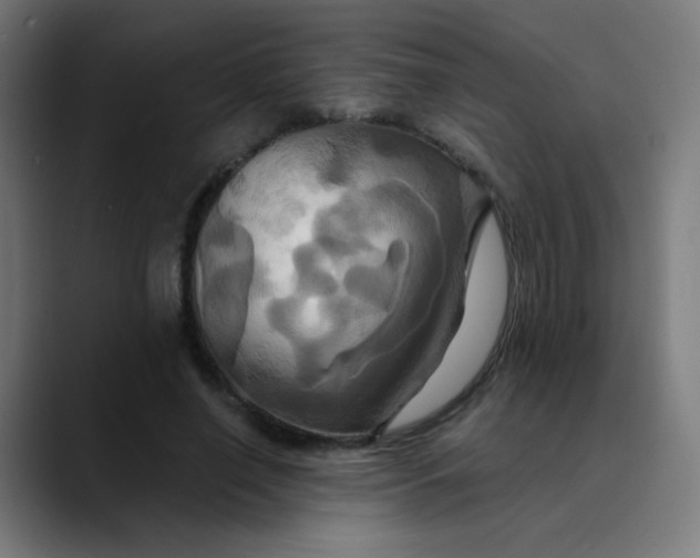 X0000089730638200707121450