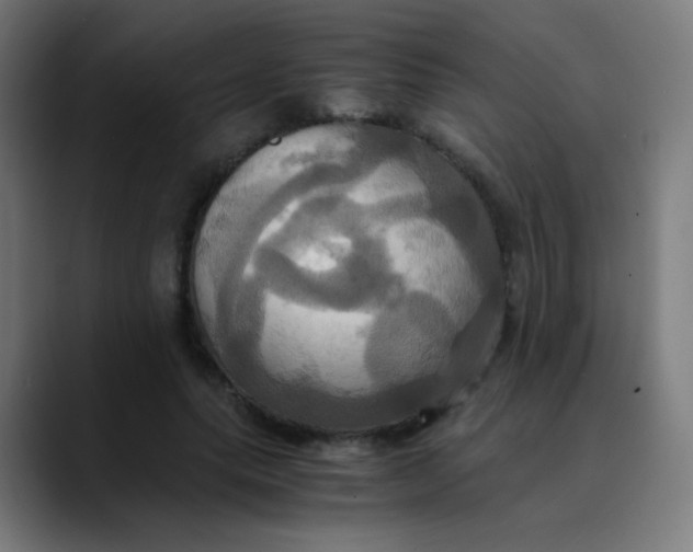 X0000089730639200707121450