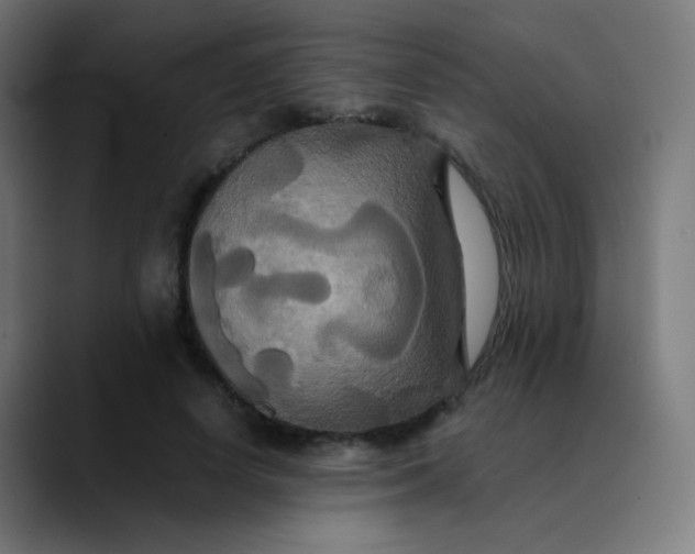 X0000089730642200707121450